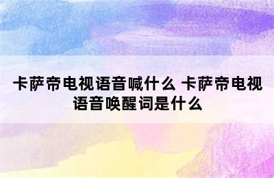 卡萨帝电视语音喊什么 卡萨帝电视语音唤醒词是什么